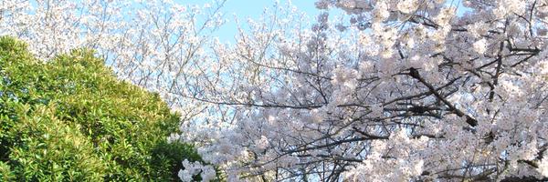 CarolineHudd Profile Banner