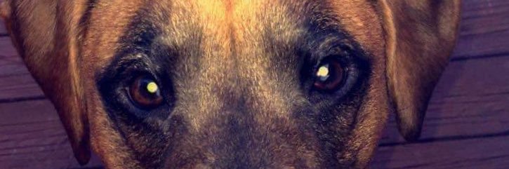 JaSmith002's profile banner image