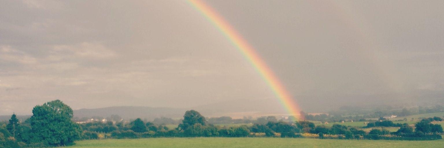 carlyfloo's profile banner image