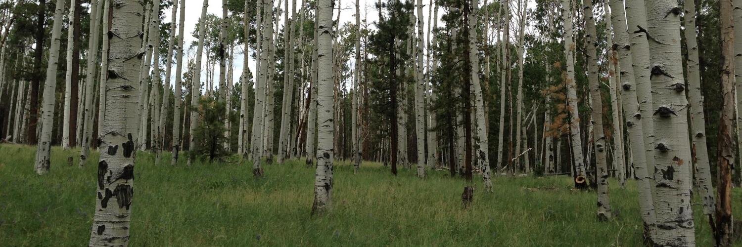 jasonfollowwill's profile banner image