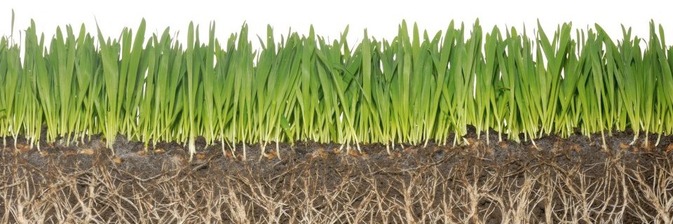 GreenkeeperTR's profile banner image