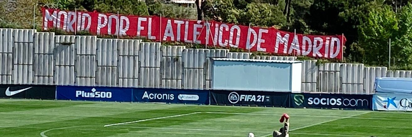 David Corrochano banner