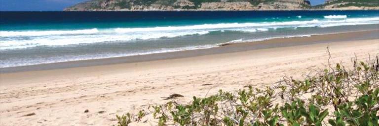 KellyThompsonSA's profile banner image