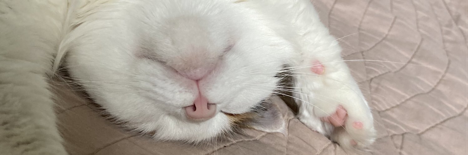 leacrdnr's profile banner image