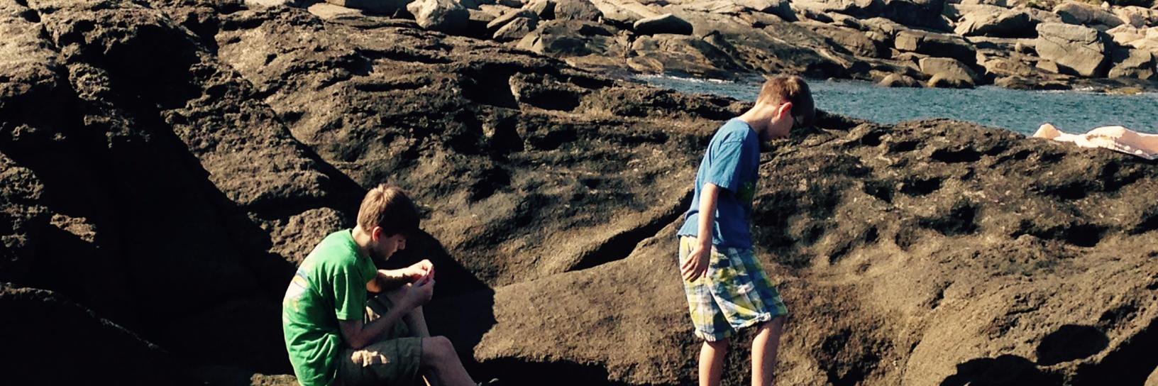 Kathleen Wirth banner