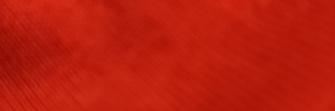 Vegeta banner