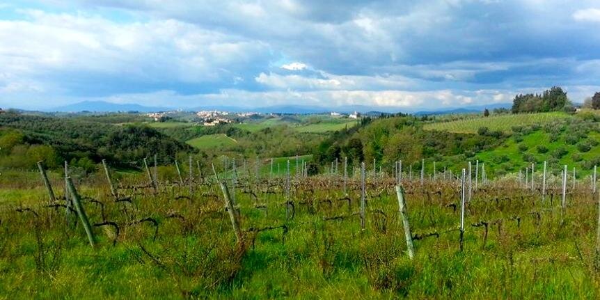 Slice of Tuscany banner