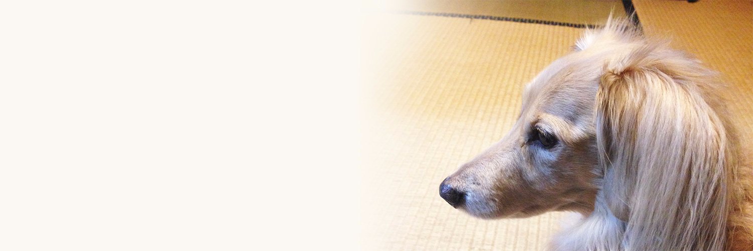 no_s's profile banner image