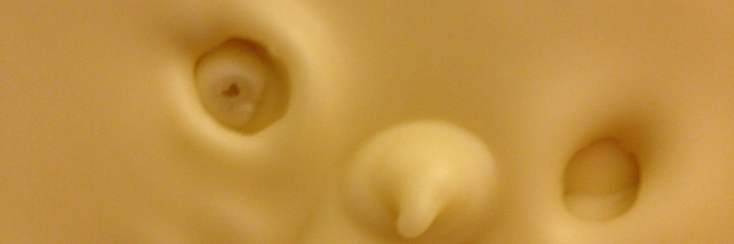 Rudeboy Bombadil banner