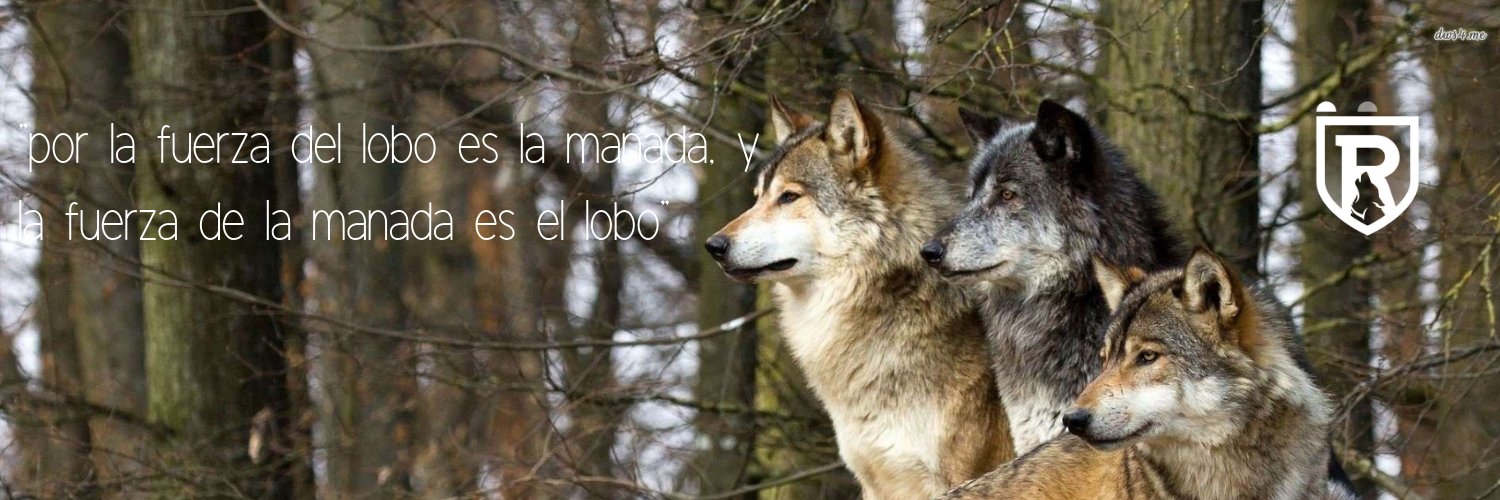 wcsRNHSspanish's profile banner image
