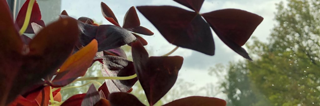 mvandulmen's profile banner image
