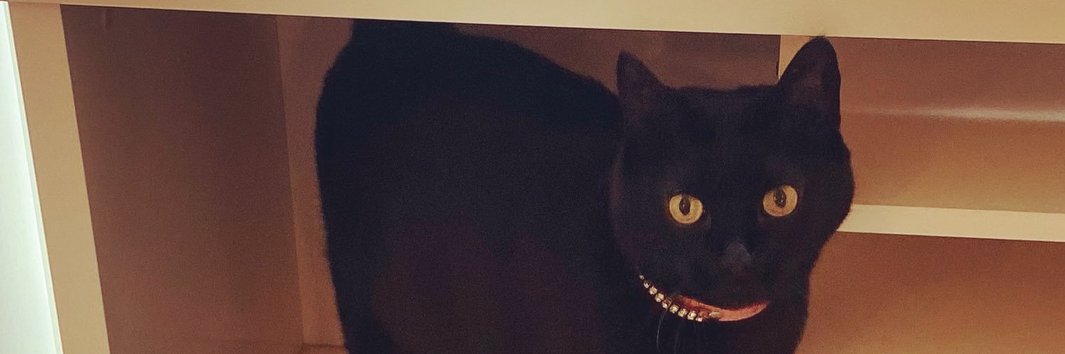 angiepatrick73's profile banner image