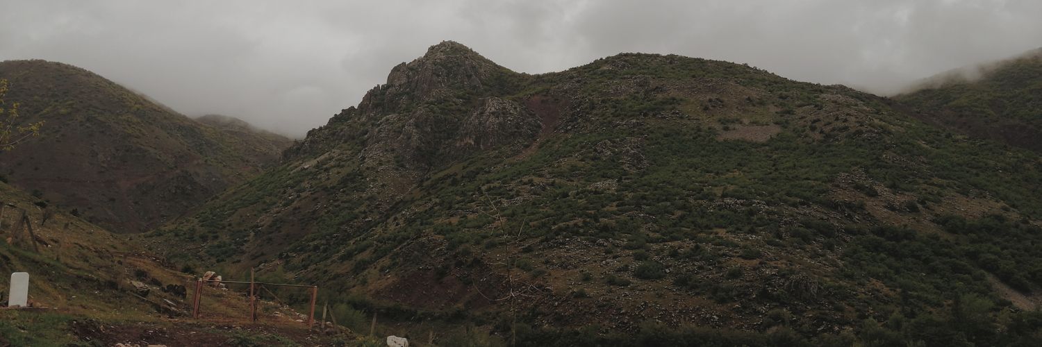 enisiha's profile banner image