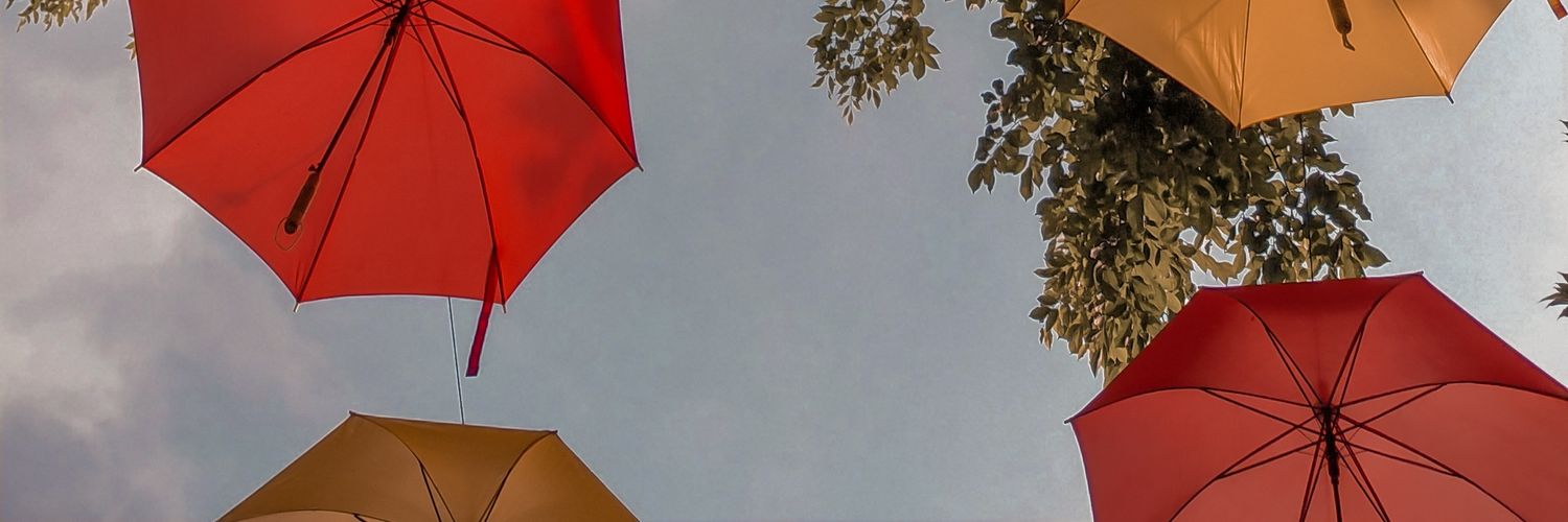nadiaelv's profile banner image