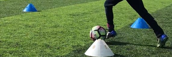 The Coaching Family banner