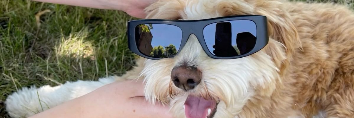 susanJacksn's profile banner image