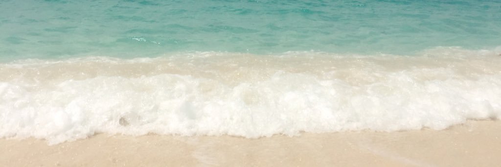 chaaalizza's profile banner image