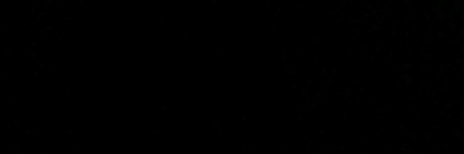 _alansegovia_'s profile banner image