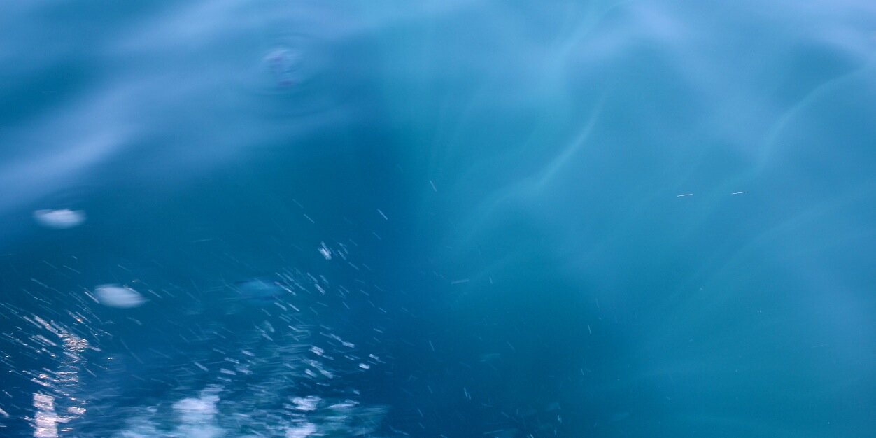 Plotzki's profile banner image