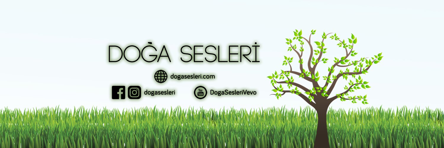 dogasesleri's profile banner image