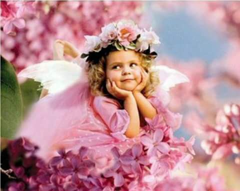Aliali9999A's profile banner image