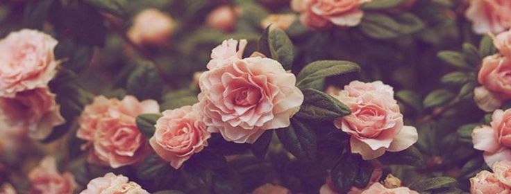 Natybem's profile banner image