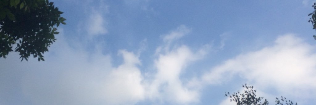 PATCHARIN18's profile banner image