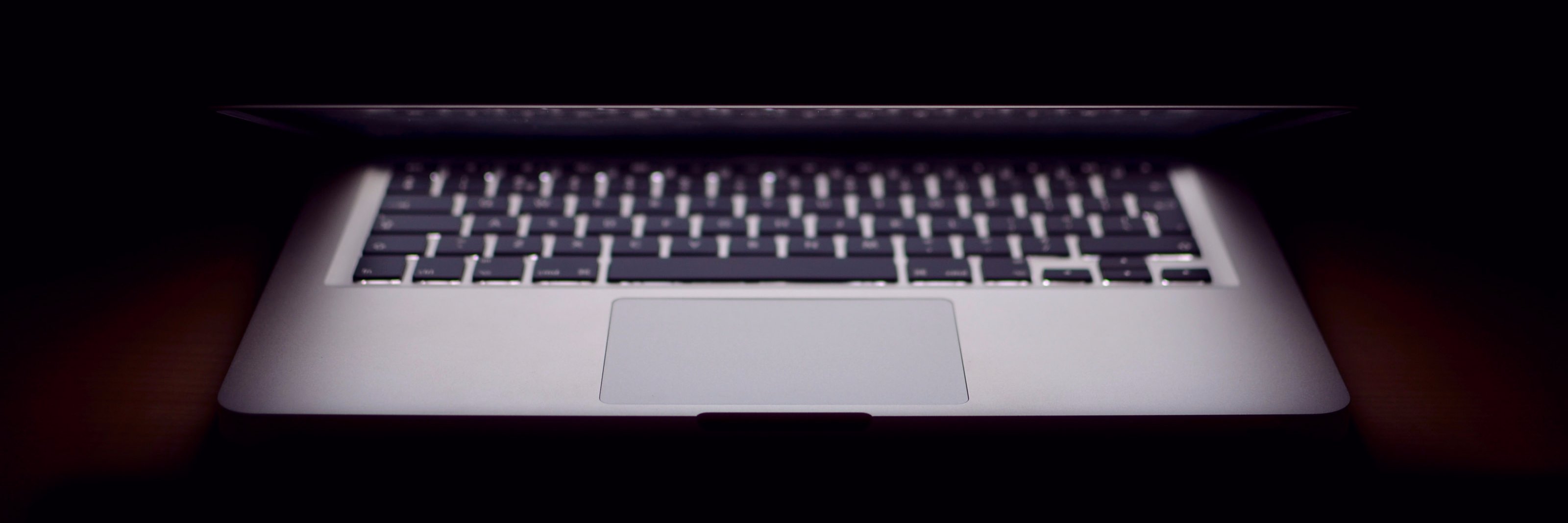 Anton Kastritskiy banner