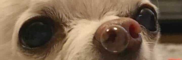 nlapenko's profile banner image