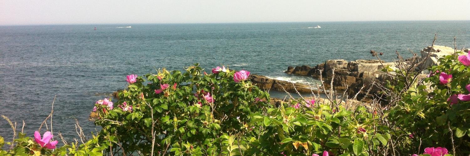OceanLover519's profile banner image