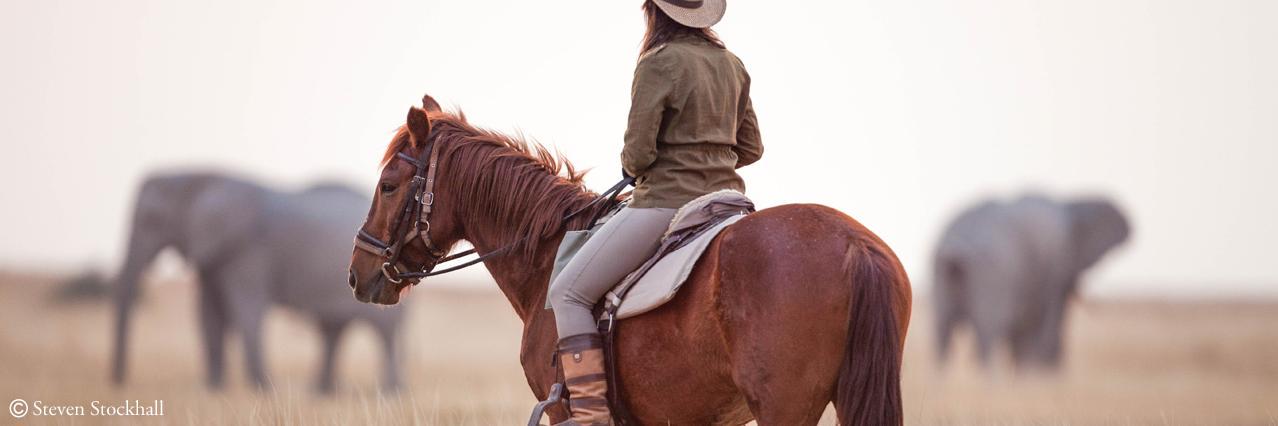 RideBotswana's profile banner image