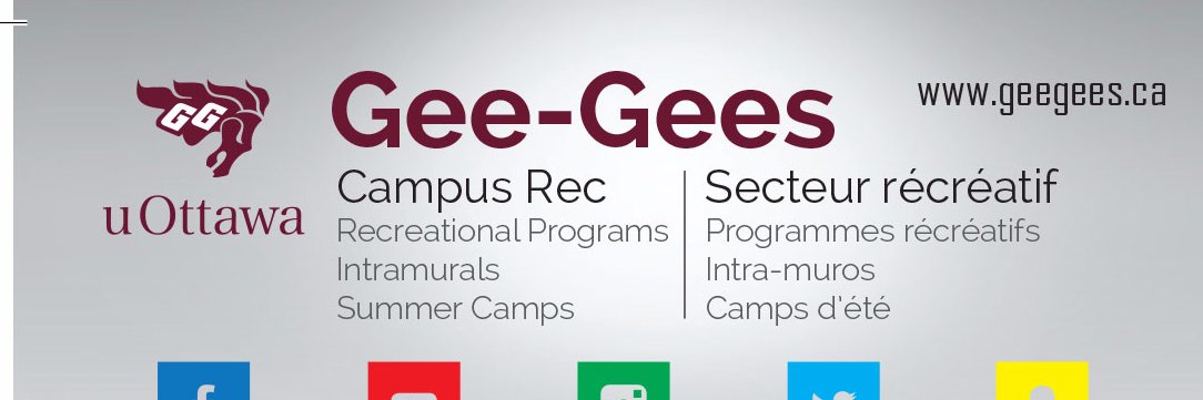 GeeGeesRec's profile banner image