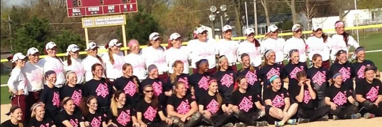 Lockport Softball  banner