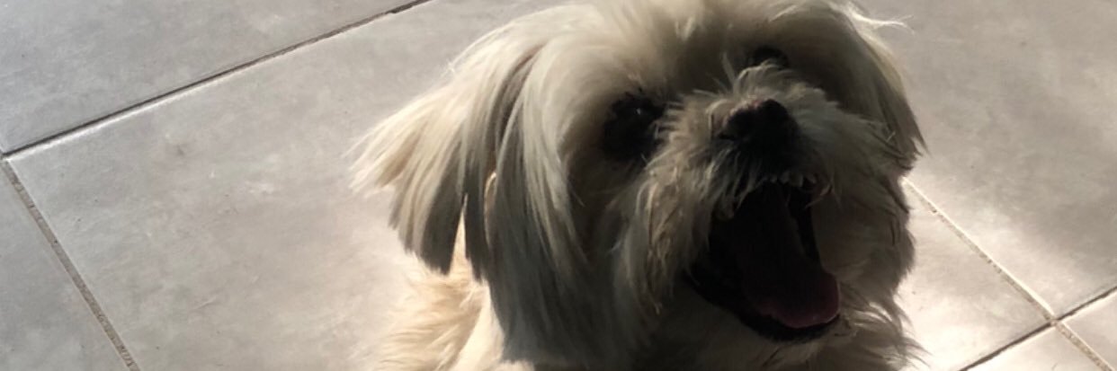 RosellSabrina's profile banner image
