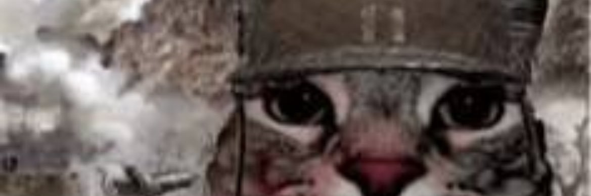 oPrimoDeTodos's profile banner image