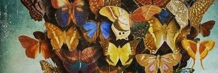 paohhvm's profile banner image