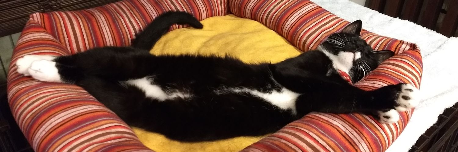 万福寺梅子 banner