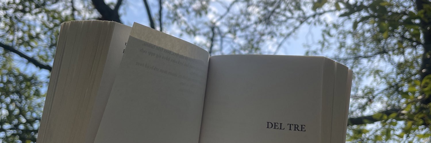 tildetingvall's profile banner image