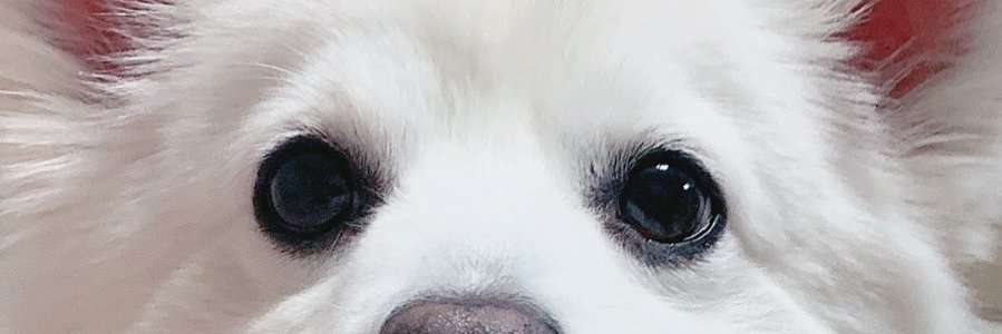 ricz143's profile banner image