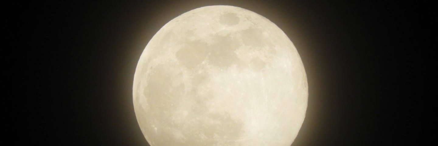 Net1358's profile banner image