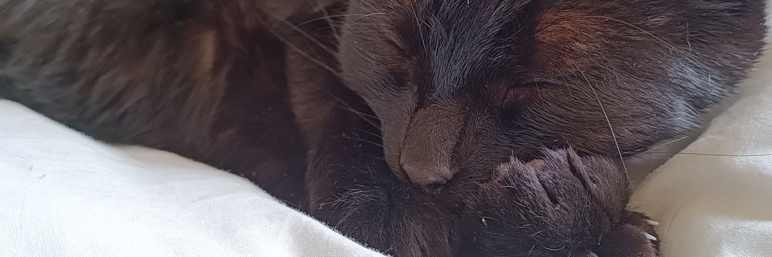Aureorelox's profile banner image