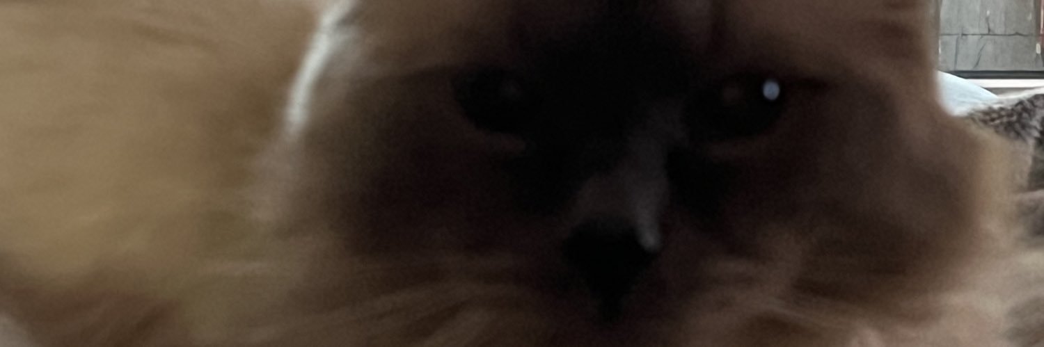 dzamaboss's profile banner image