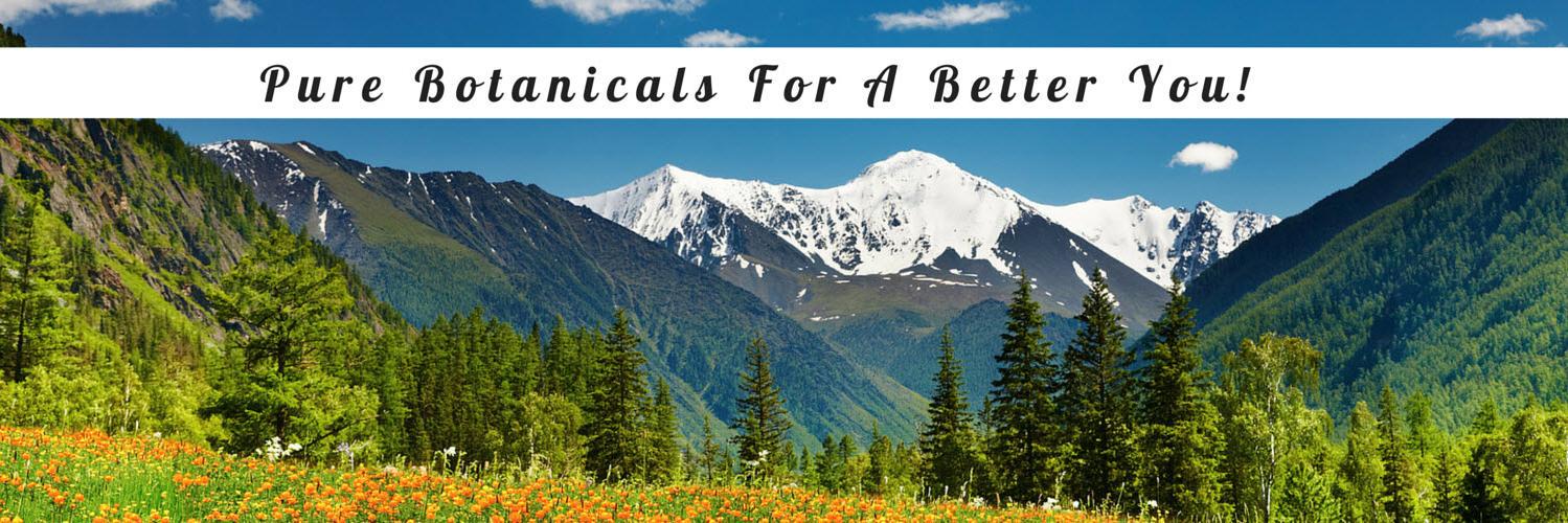 PureMtn's profile banner image