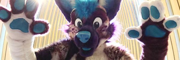WildAcai Profile Banner