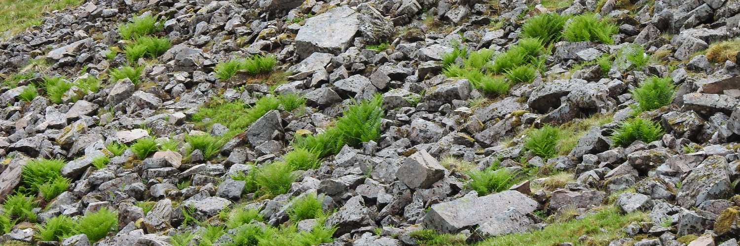 Gus Routledge banner