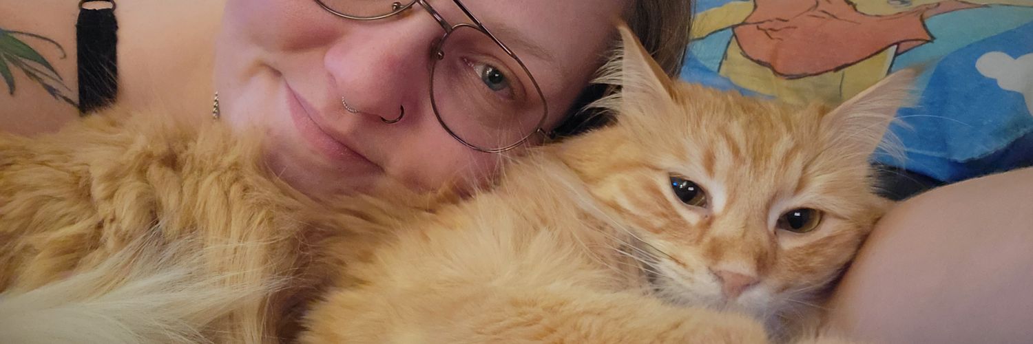 LacyDoodle's profile banner image