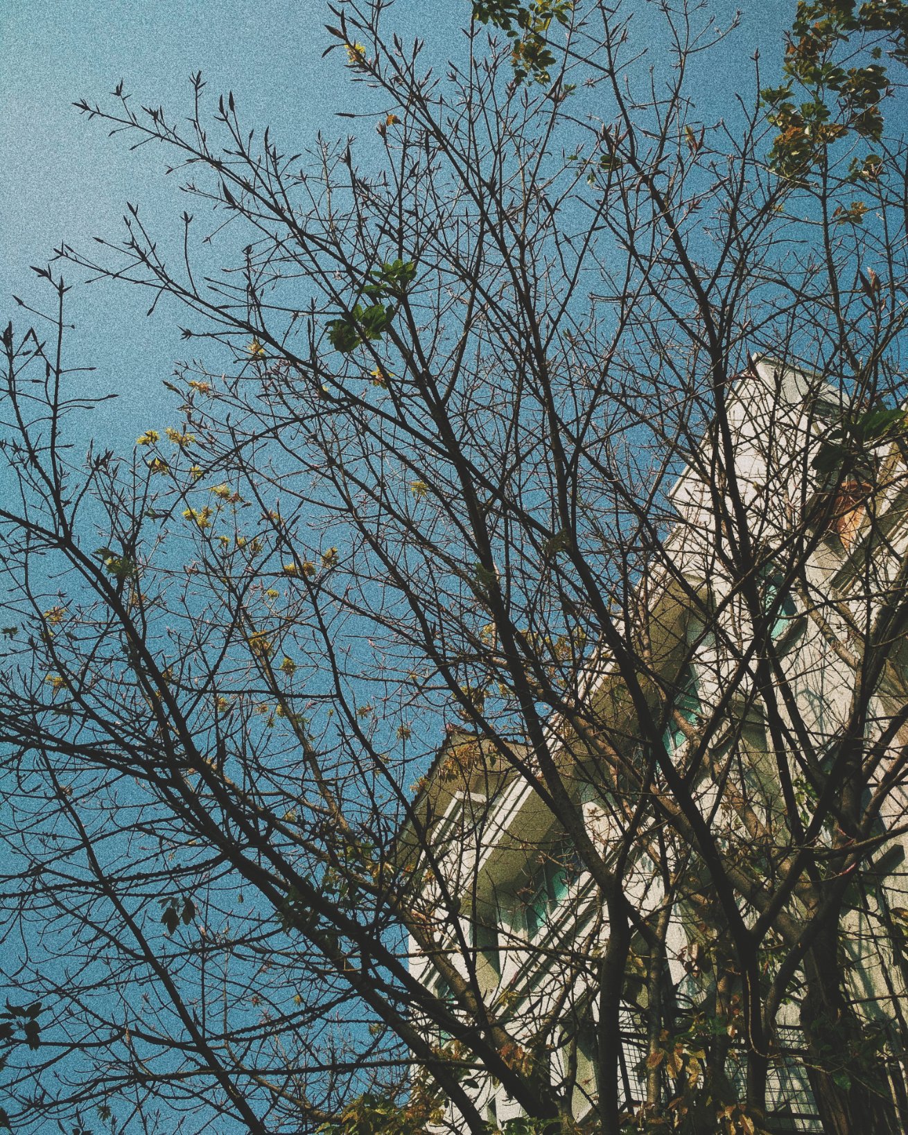 khairiyy's profile banner image