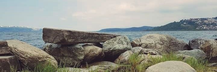 S.A.F.I🇵🇸🇮🇶 banner