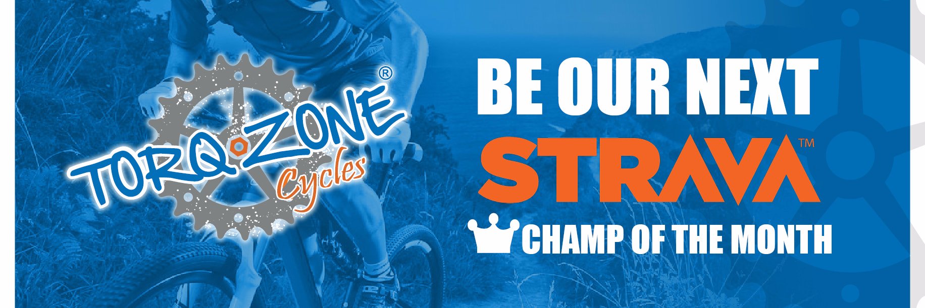 Torq Zone banner