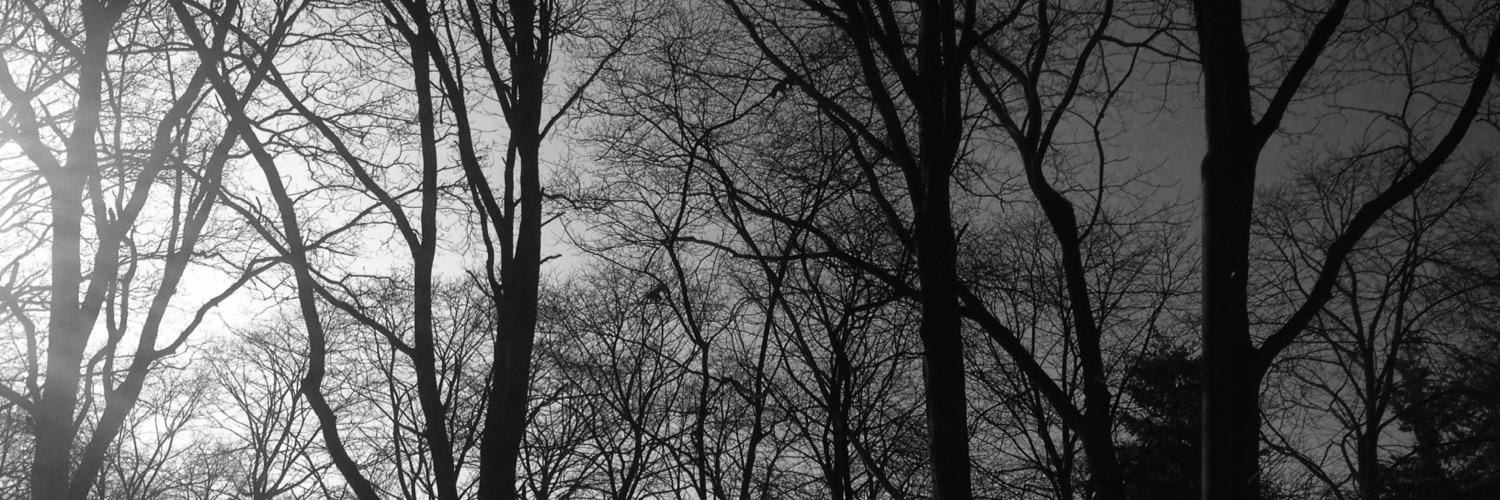 _MATTHY_015's profile banner image